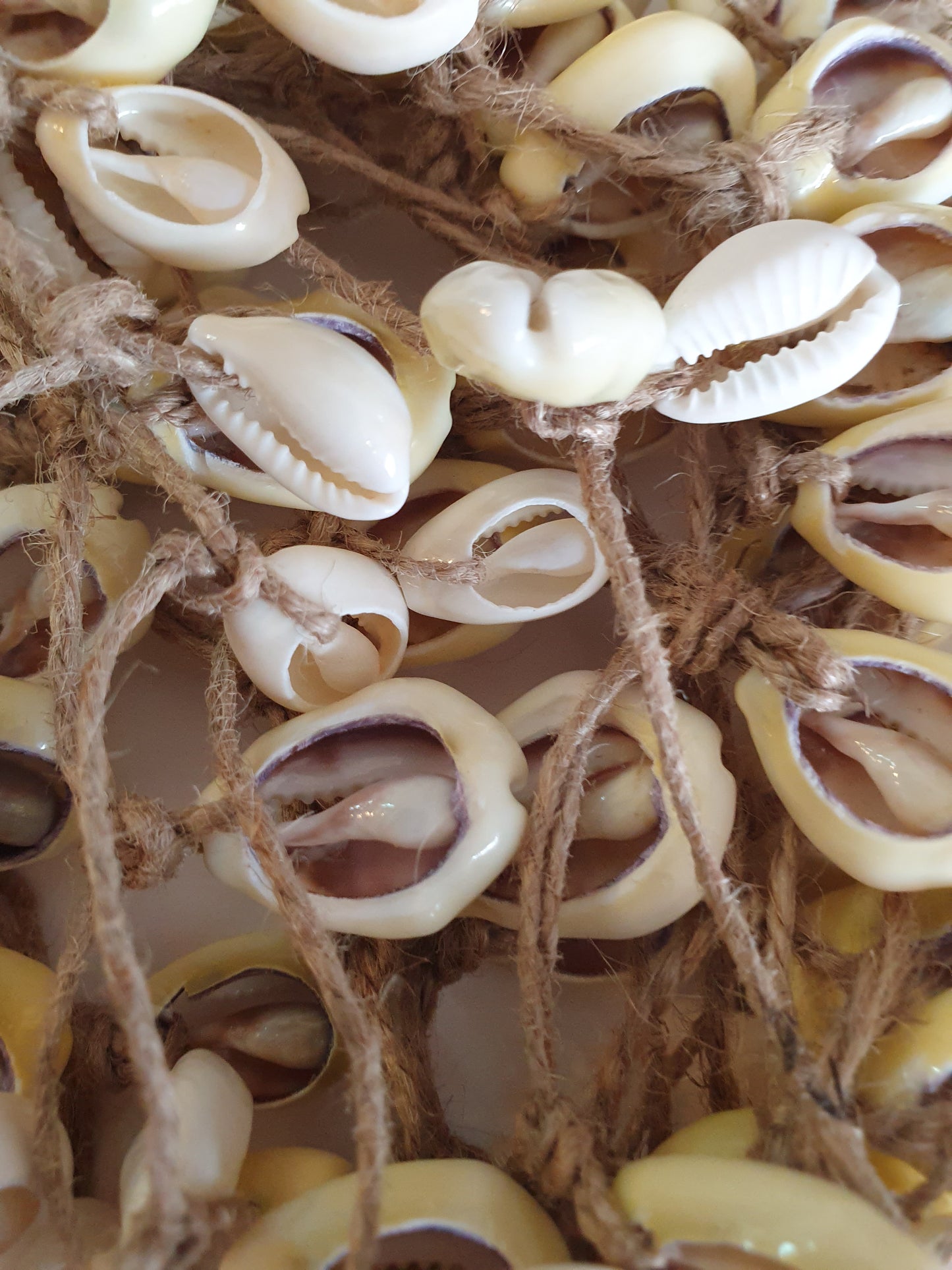 Hemp and cowrie shell necklace from Nagaland