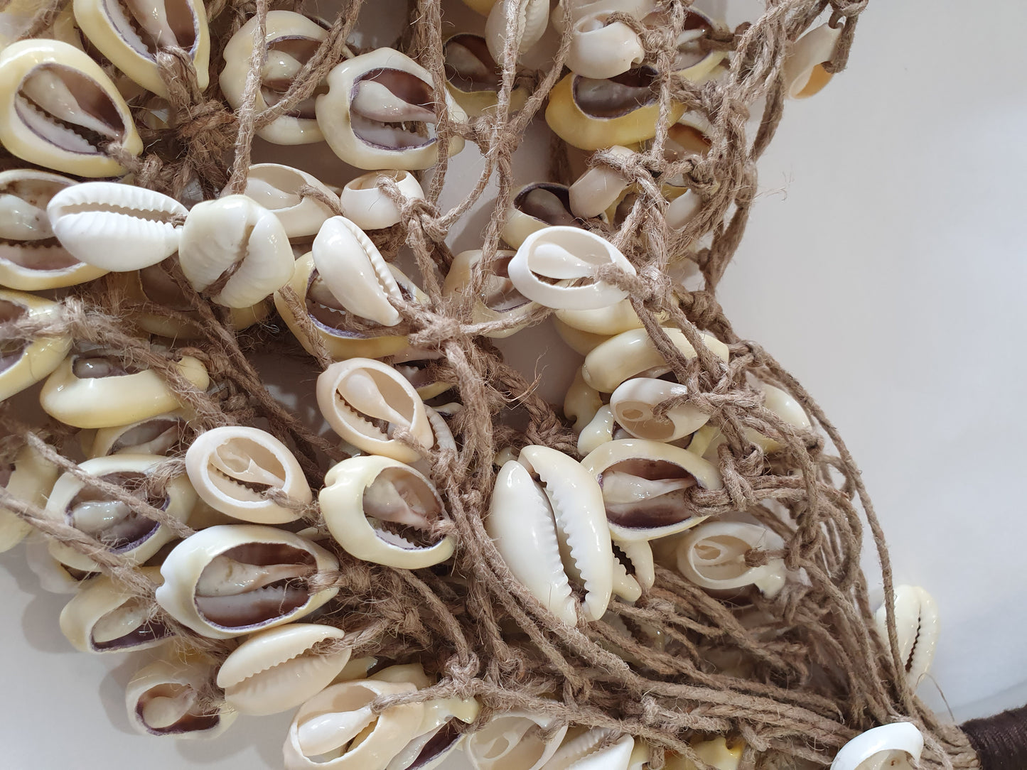 Hemp and cowrie shell necklace from Nagaland